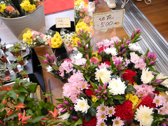 公式 群馬県の葬儀 葬式 家族葬 法事 宿泊施設 日典ラサ レポート ご報告 公式 群馬県の葬儀 葬式 家族葬 法事 宿泊施設 日典ラサ レポート ご報告